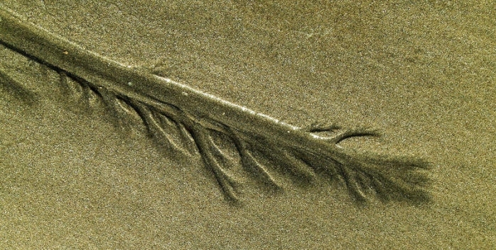plume de sable